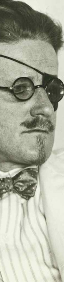 James-joyce detailed 2