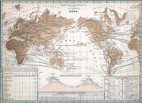 World lines017