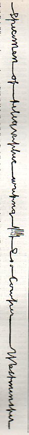 Telegraph script