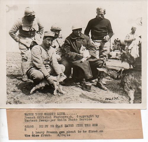 WWI Dogs181