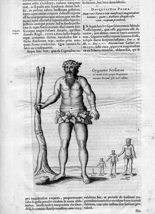 Kircher 56032
