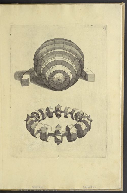 Sirigatti forms _1_
