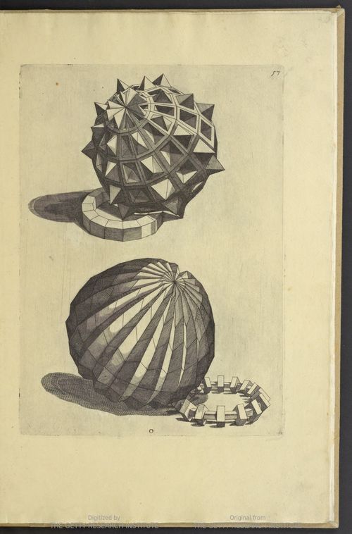 Sirigatti forms _4_