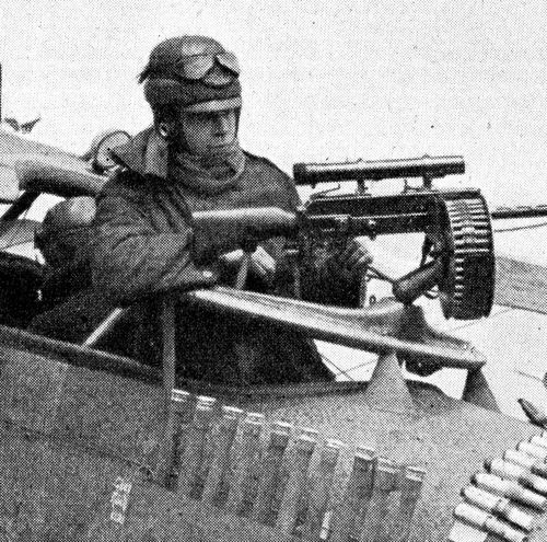WWI pigeon233