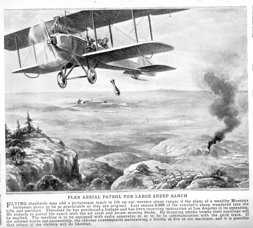 Bombing sheep458