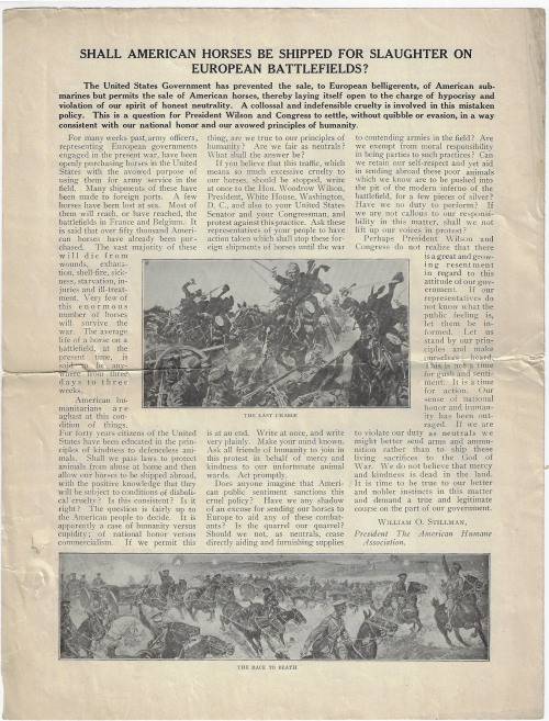 War horses _4_