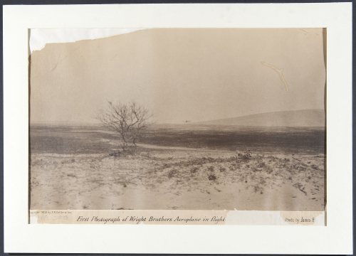 Wright hare photo _2_