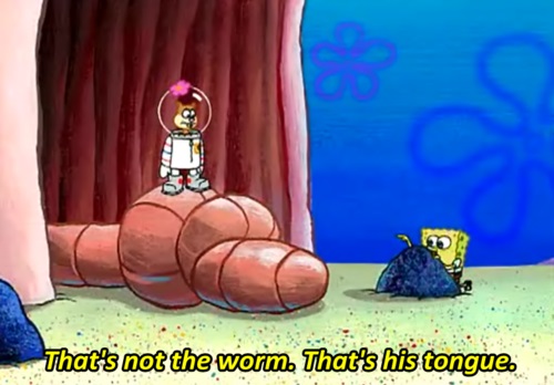Sandy cheeks