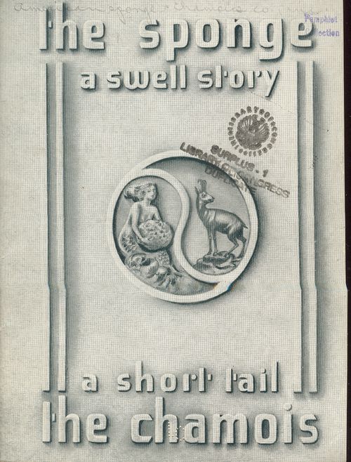 + story sponge