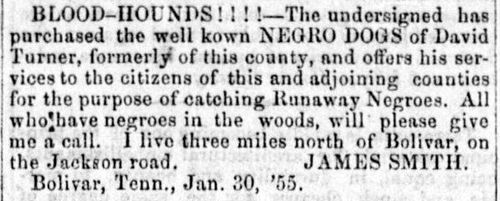 Negro hounds
