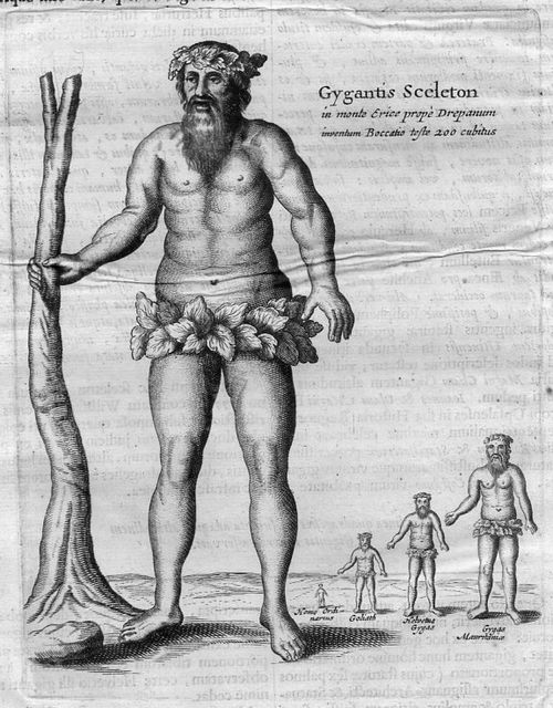 Kircher Giant033