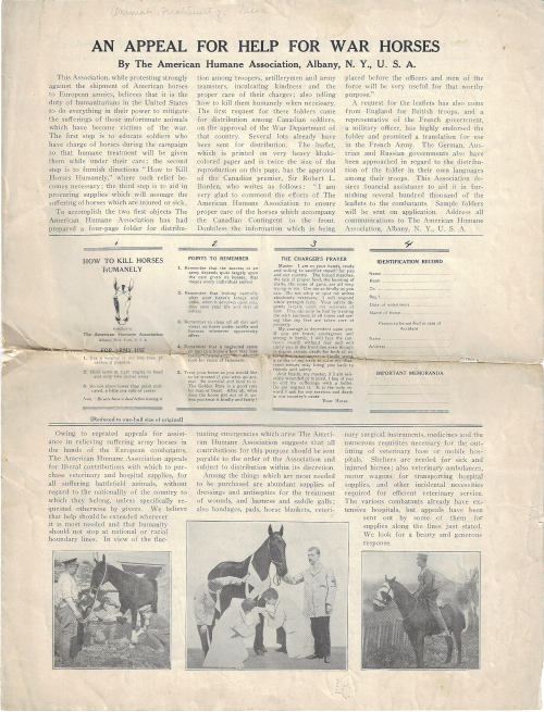 War horses_1_