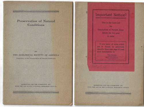 DocFile (7)