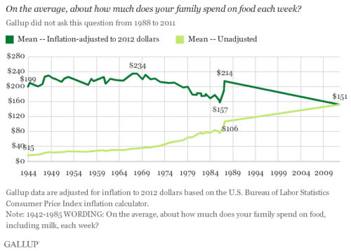 Food expense