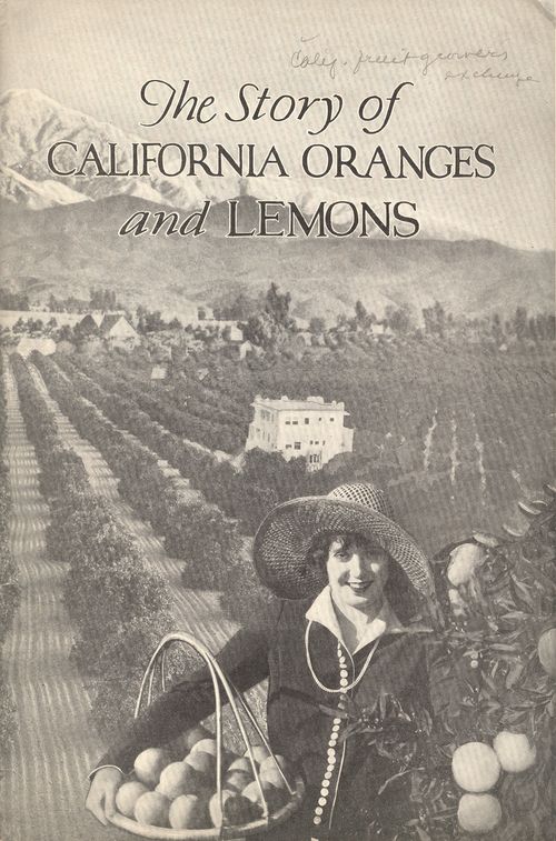 + story lemons