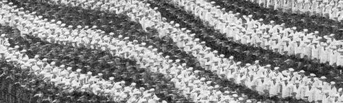 Flag massive958