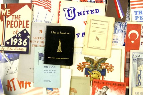 USA Naive_2_