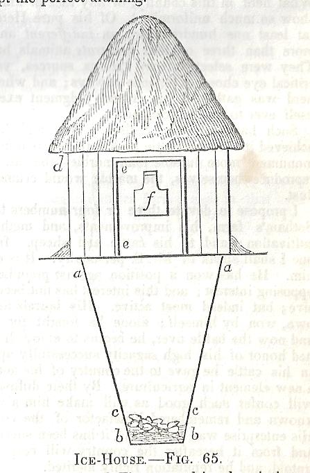 Ice house _2_