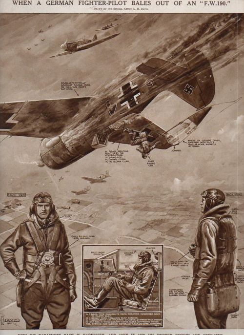 Aircraft Cross section FW 190