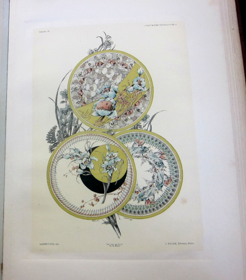 Haeckel 01
