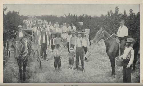 Georgia resources _2_