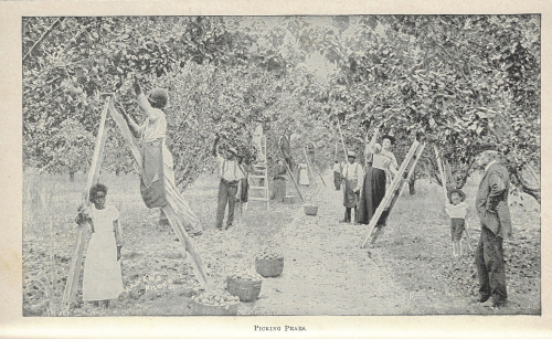 Georgia resources _2_