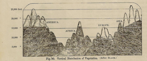 Mountain cross section Houston _2_