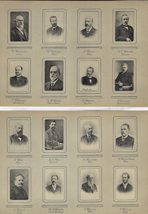 Physics portraits _23_
