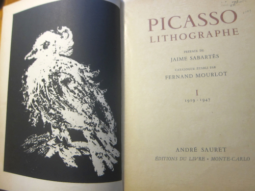 Picasso II _2_ (1)