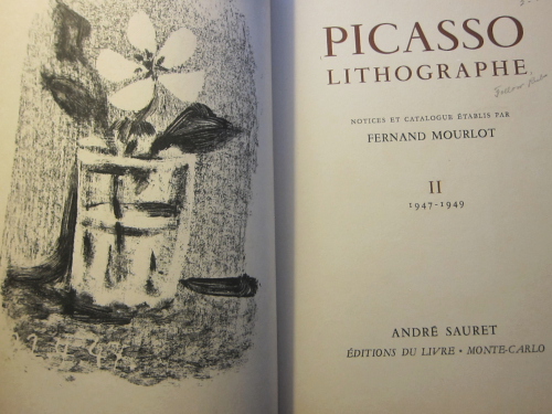 Picasso II _2_ (1)