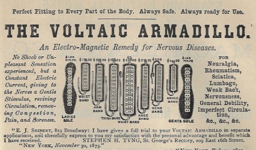 Pop Sci Mo 1867 voltaic armadillo detail
