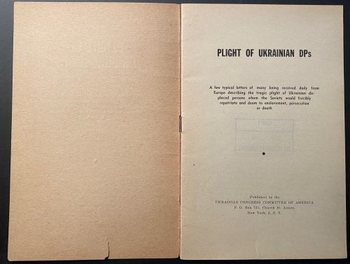 Ukrainian DP _2_