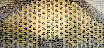 Mine_stained_glass