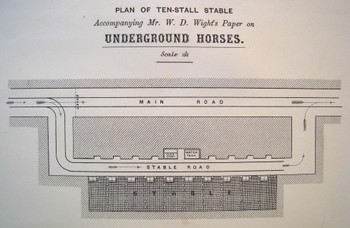 Underground_horses