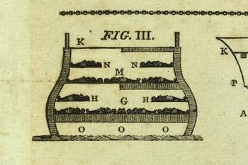 Blogslaverycross_section