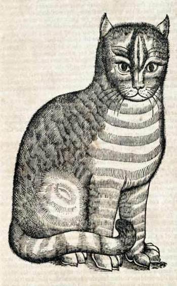 Topsellcat_2