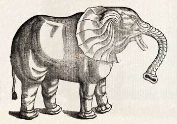 Topsellelephant