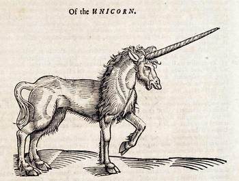 Topsellunicorn