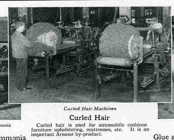 Blogsept3_hair485