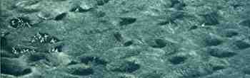 00blogoct_14somme849_2