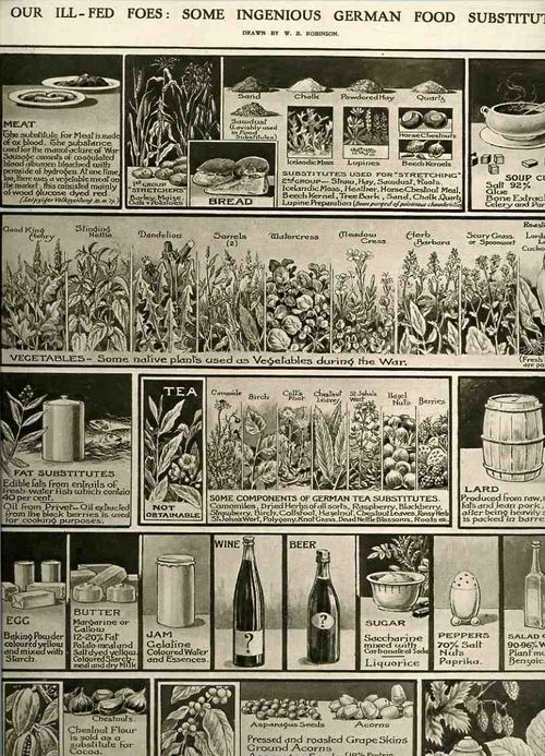 00-blog-Oct 27 ill fed foes 1918935
