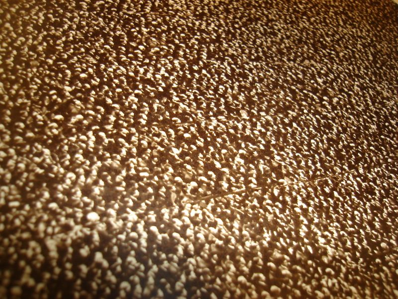 Crowds 002