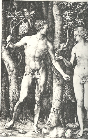 Blog--blank durer 001