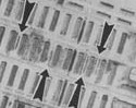 Auschwitz dots 1