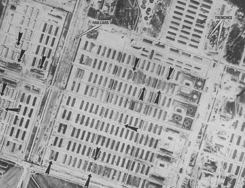 Auschwitz dots 3