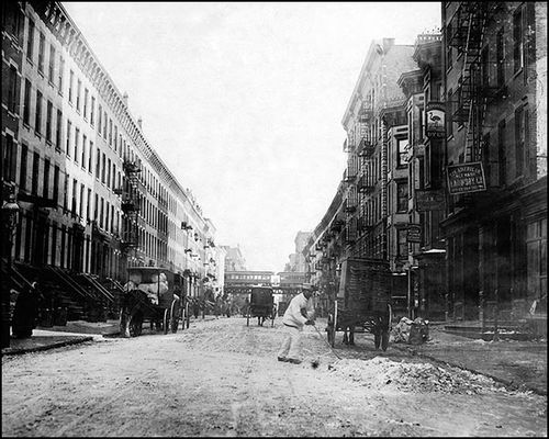 Ho HArlem