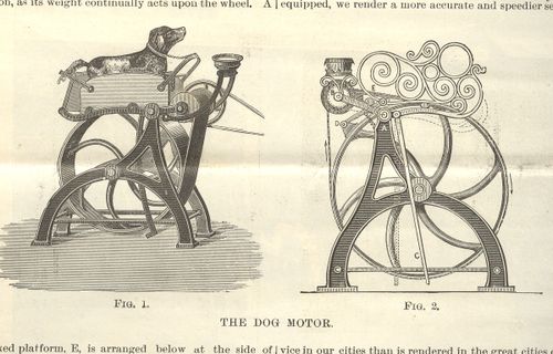 ++00++ 9.22 dog