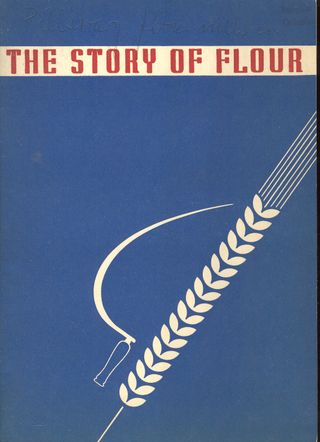 + story flour