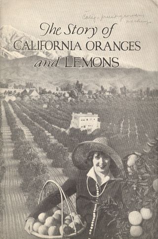+ story lemons