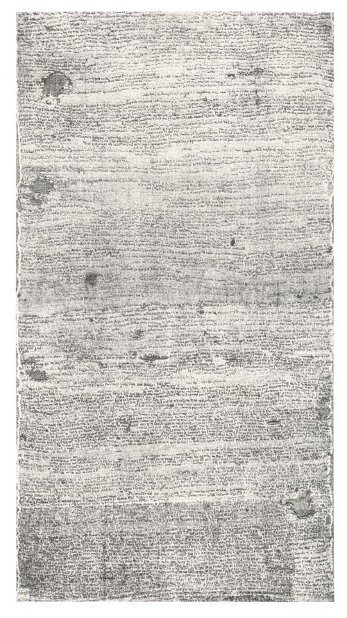 ++00++ 9.29 teresa ottalo